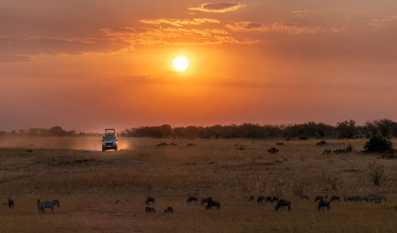 How to Plan a Wildlife Trip Around Your Interests